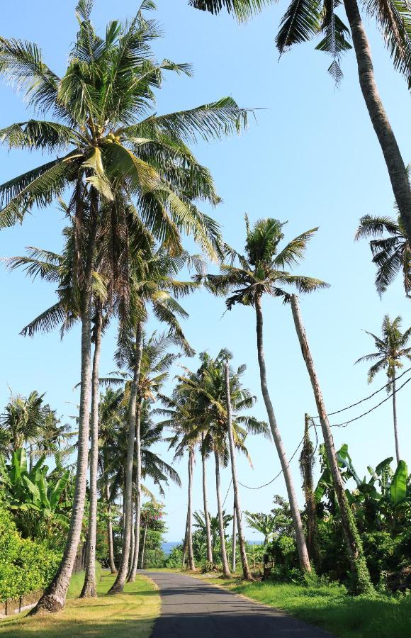 Tamu Seseh Villa Canggu Eksteriør bilde