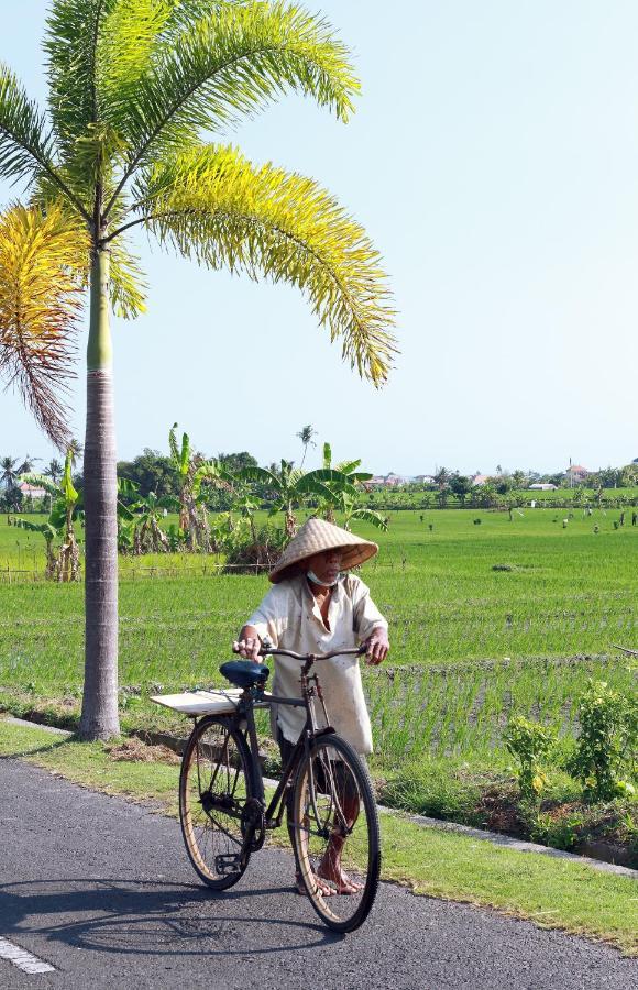 Tamu Seseh Villa Canggu Eksteriør bilde