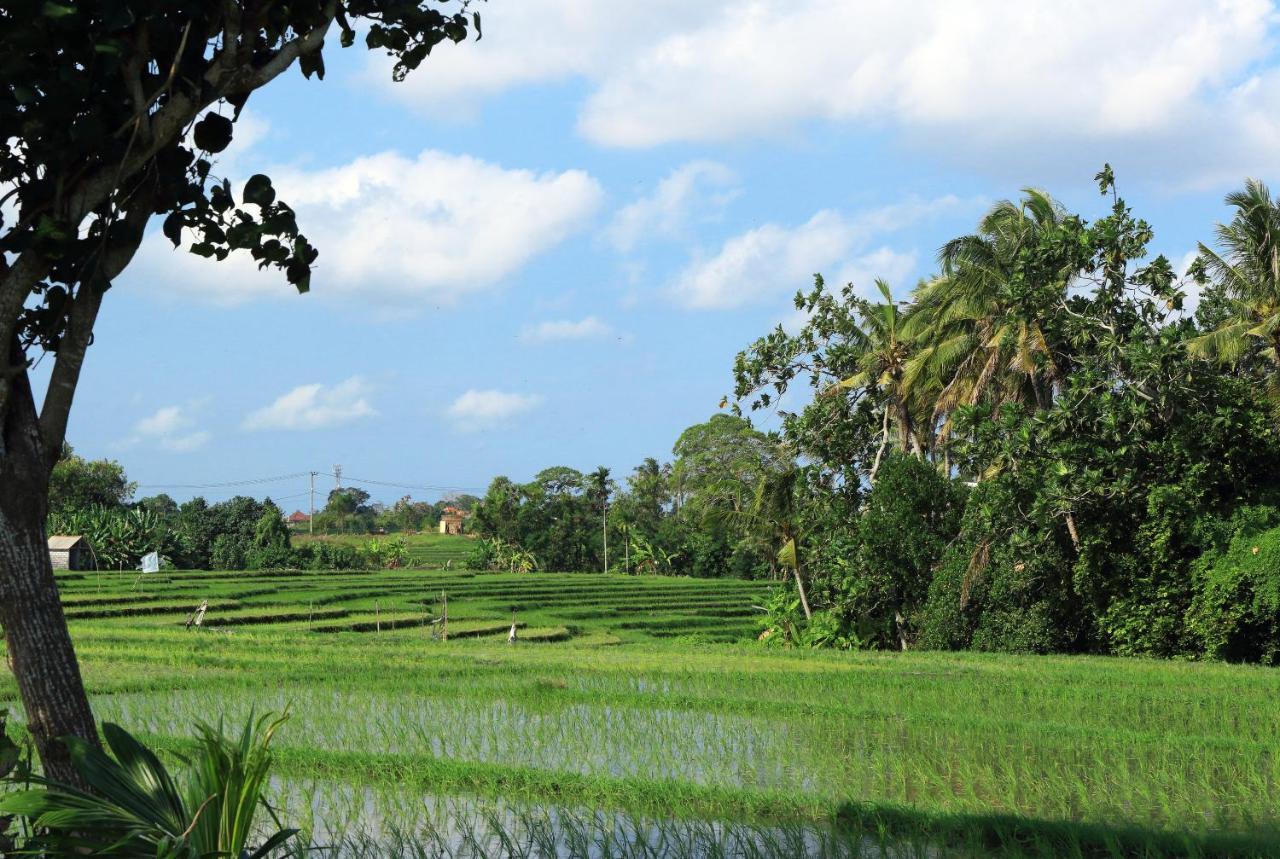 Tamu Seseh Villa Canggu Eksteriør bilde